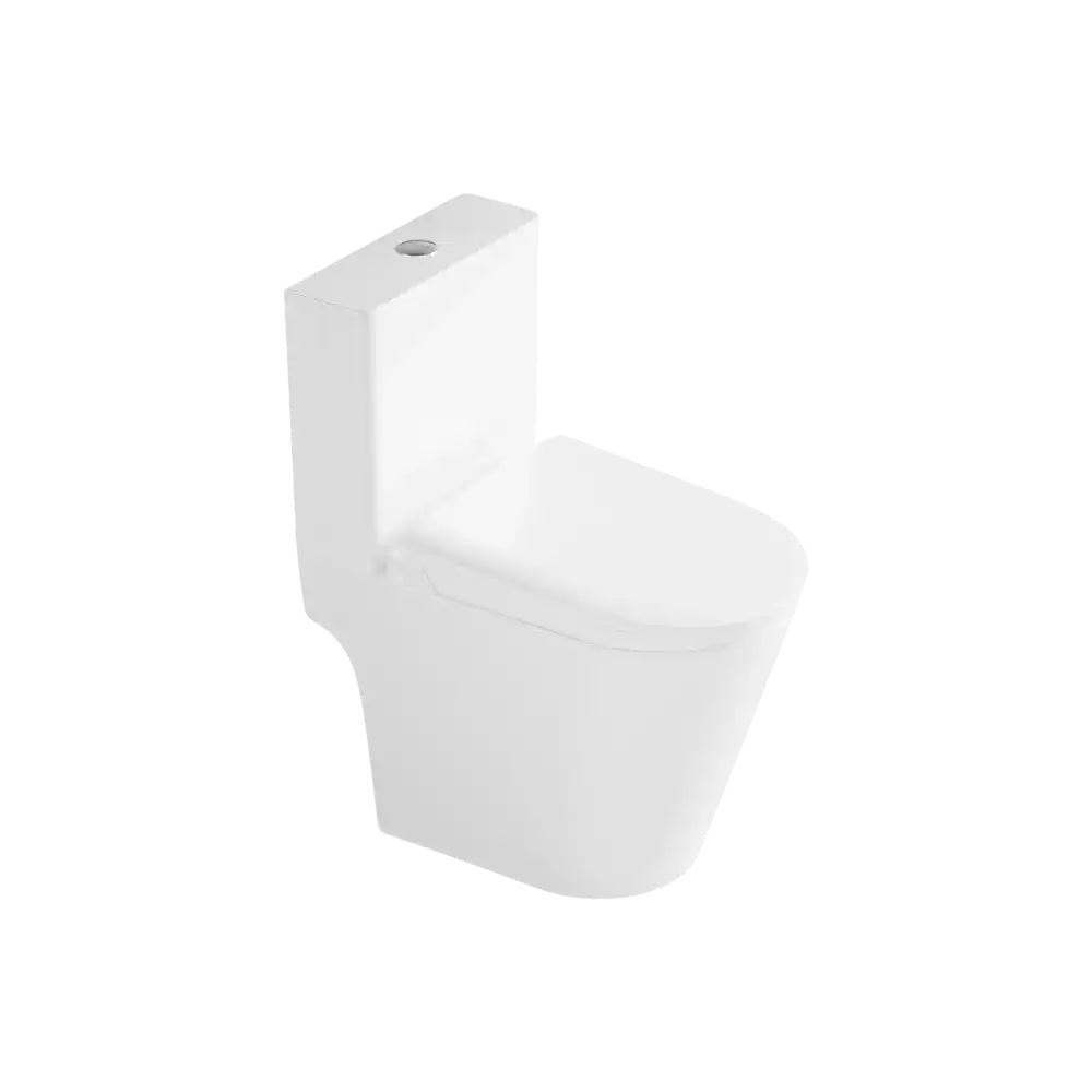 Smart Toilet Model 106