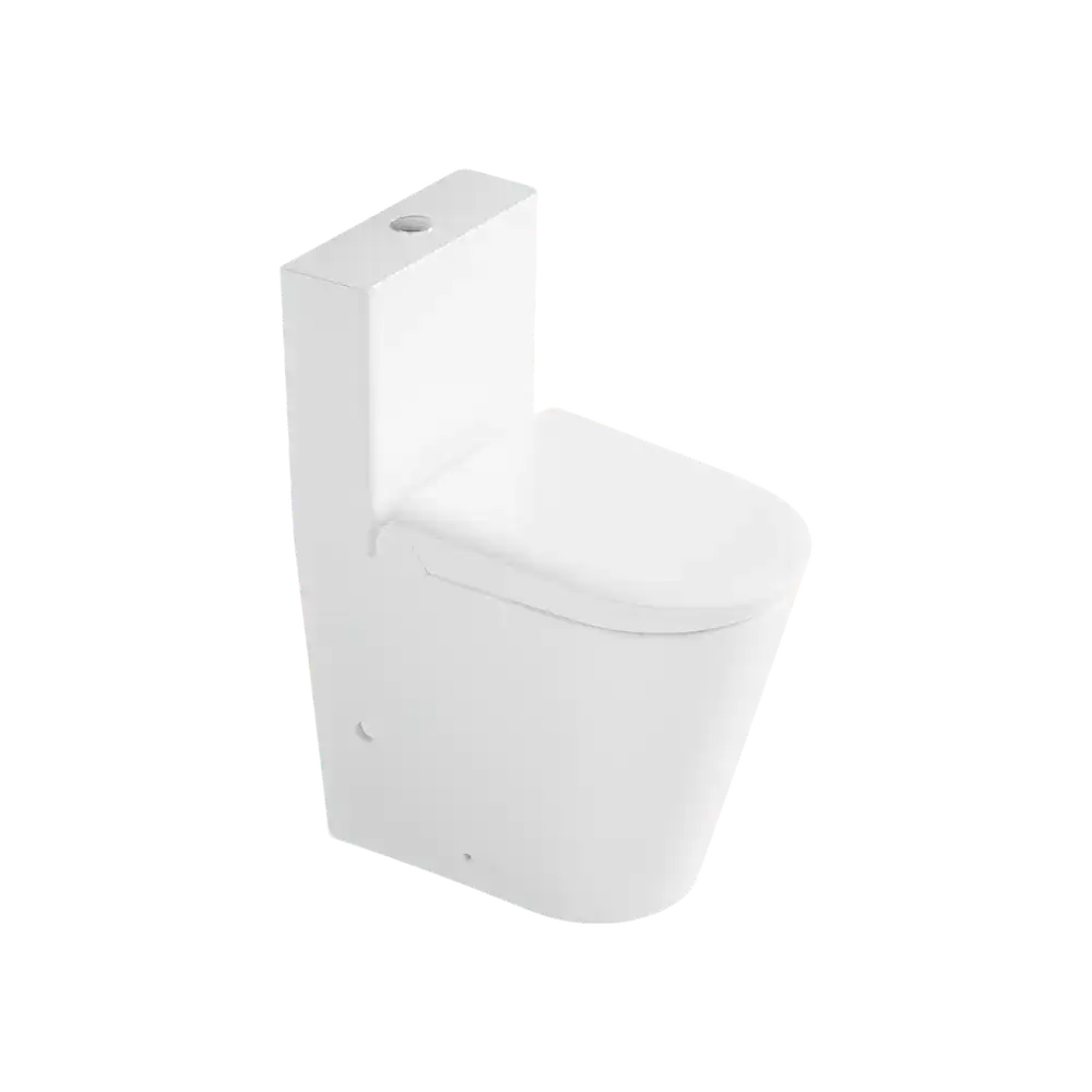Smart Toilet Model 107